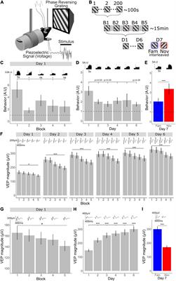 Multiple Mechanistically Distinct Timescales of Neocortical Plasticity Occur During Habituation